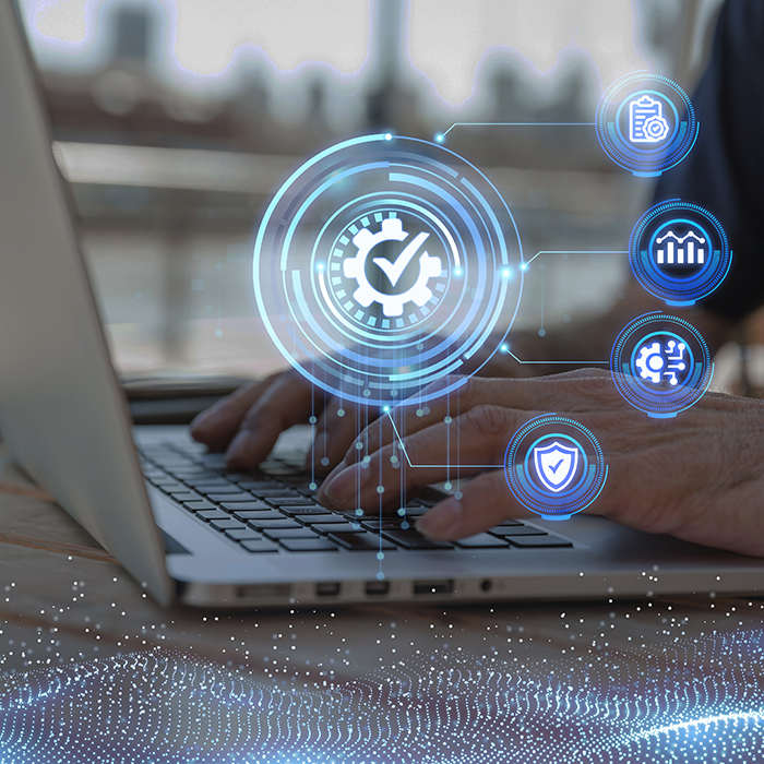 System Integrators & IT Solution Providers