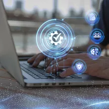 System Integrators & IT Solution Providers